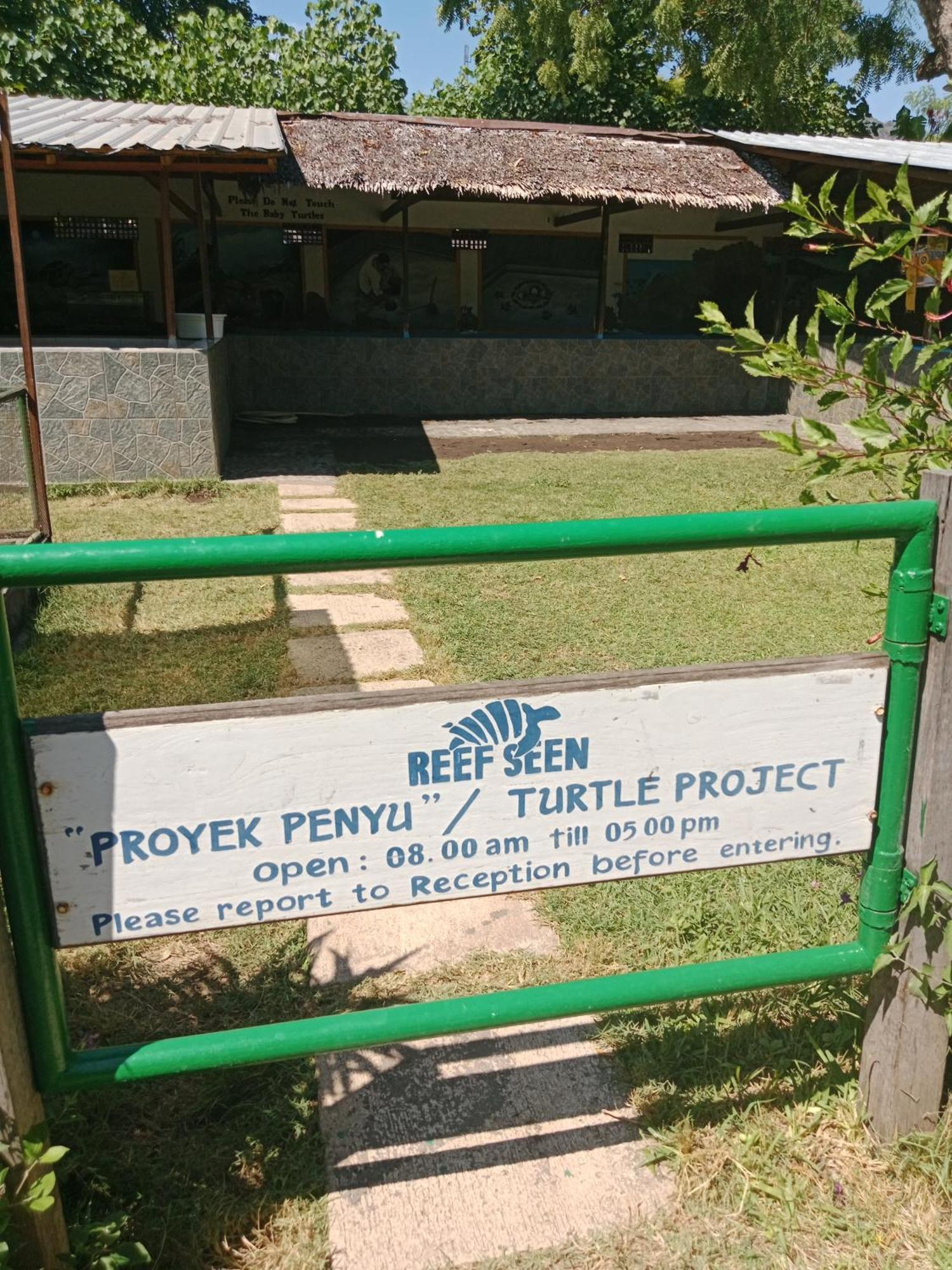 The Beach Bungalows & Turtle Sanctuary เปมูเตรัน ภายนอก รูปภาพ